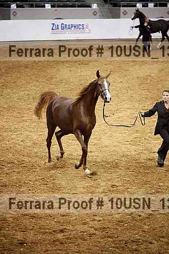 Proof Number 10usn_13187