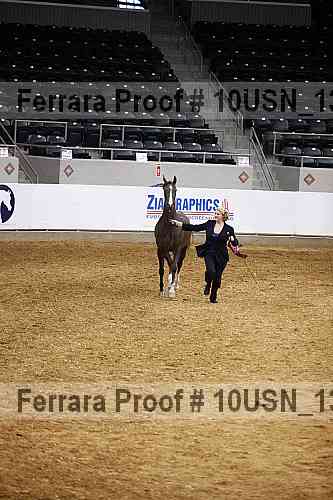 Proof Number 10usn_13189