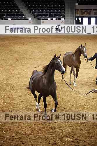 Proof Number 10usn_13190