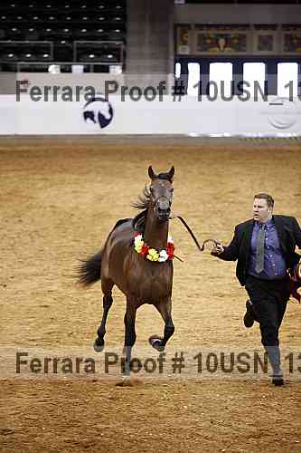 Proof Number 10usn_13192
