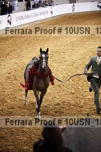 Proof Number 10usn_13196