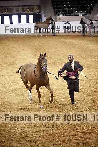 Proof Number 10usn_13107