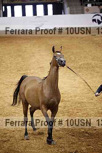 Proof Number 10usn_13114