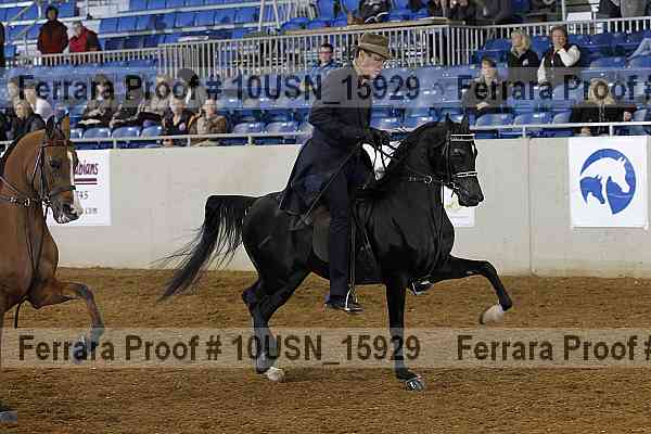 Proof Number 10usn_15929