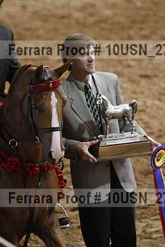 Proof Number 10usn_27692