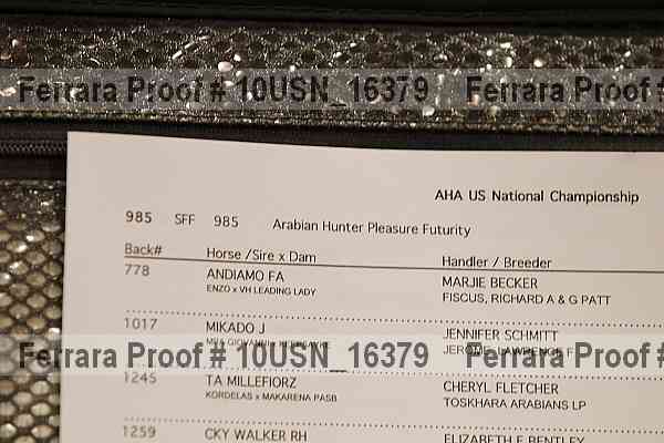 Proof Number 10usn_16379