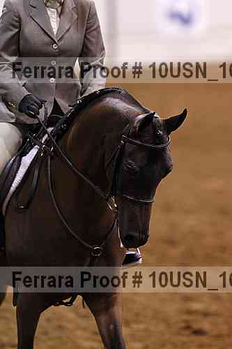 Proof Number 10usn_16500