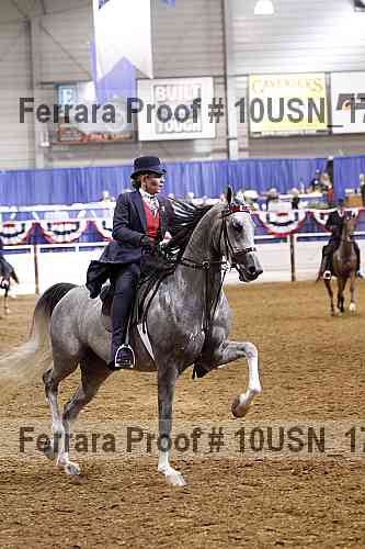 Proof Number 10usn_17467