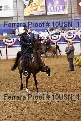 Proof Number 10usn_17470