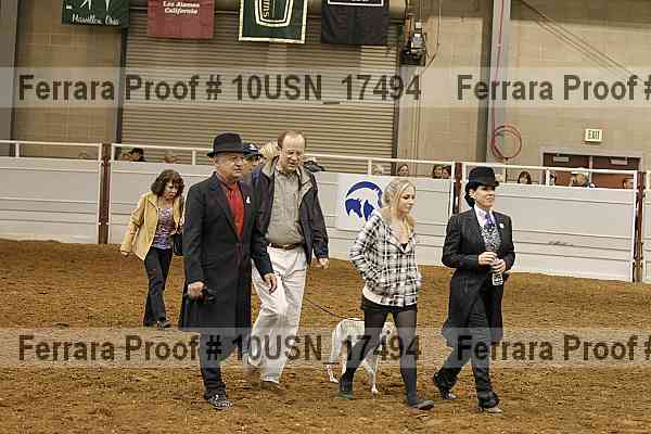Proof Number 10usn_17494