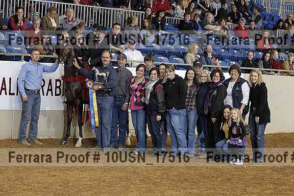 Proof Number 10usn_17516