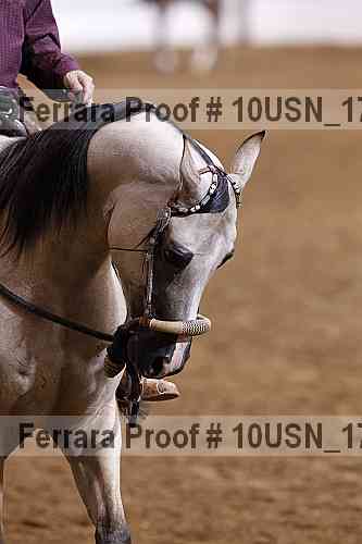 Proof Number 10usn_17905