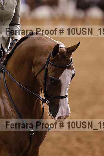 Proof Number 10usn_19065