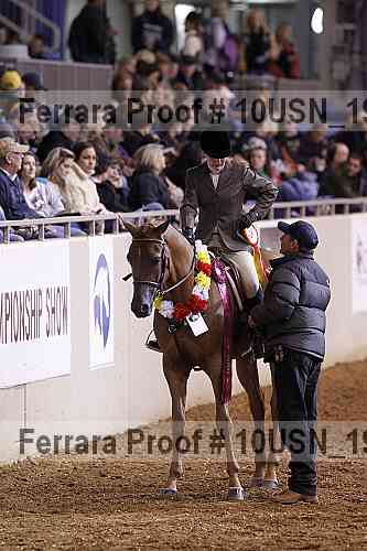 Proof Number 10usn_19119