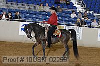 10usn_02255 thumbnail