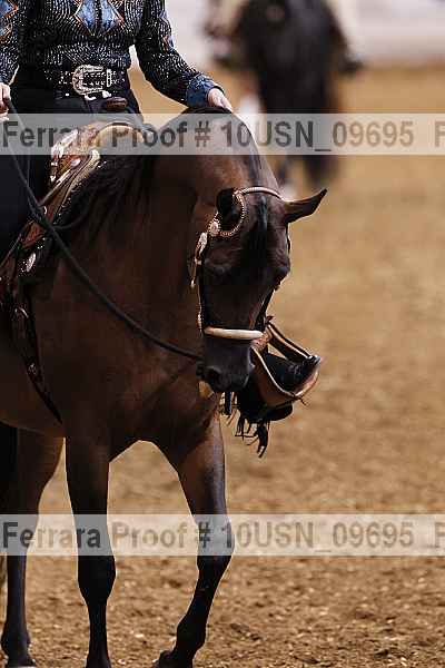 Proof Number 10usn_09695
