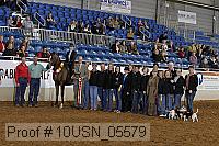 10usn_05579 thumbnail