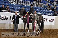 10usn_05409 thumbnail