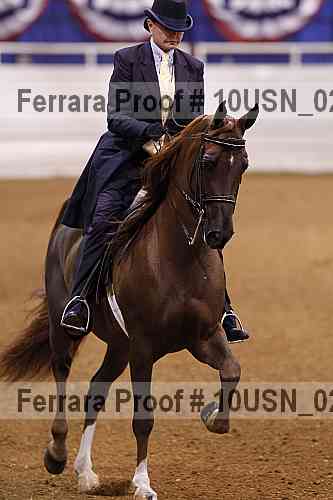 Proof Number 10usn_02902