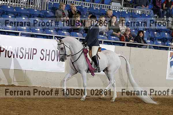 Proof Number 10usn_02861