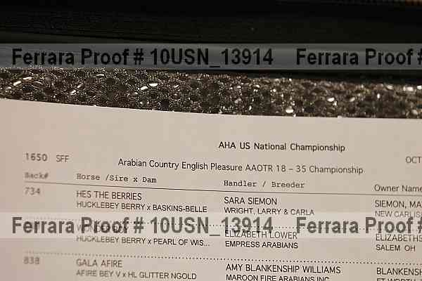 Proof Number 10usn_13914