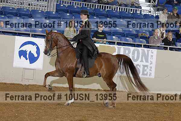 Proof Number 10usn_13955