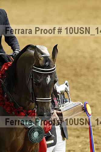 Proof Number 10usn_14008