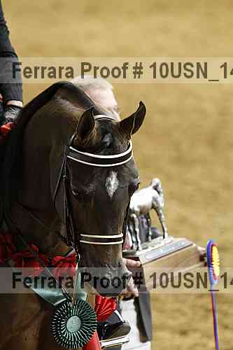 Proof Number 10usn_14010