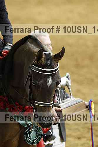 Proof Number 10usn_14011