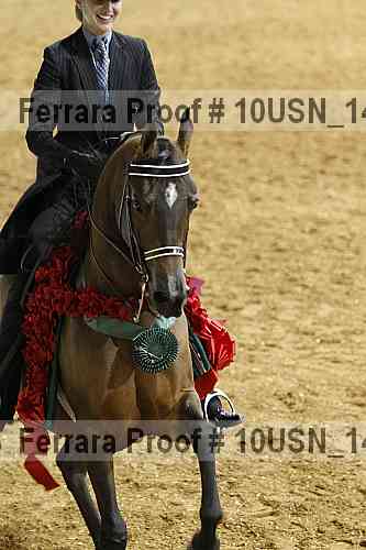 Proof Number 10usn_14093