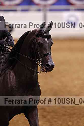 Proof Number 10usn_04357
