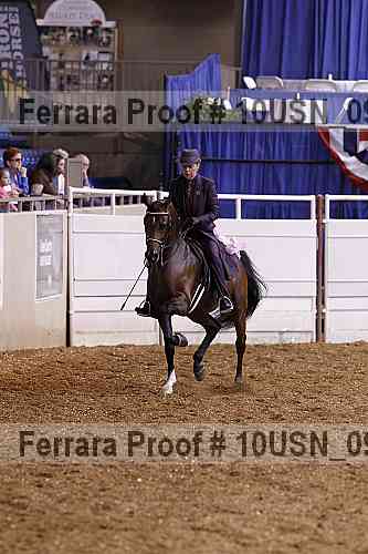 Proof Number 10usn_09394