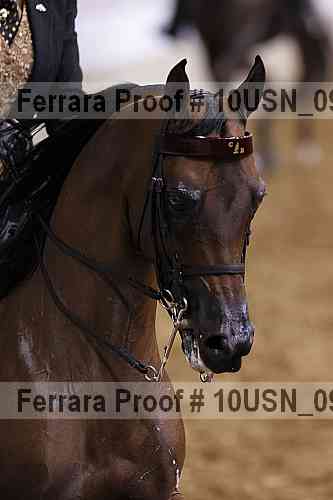 Proof Number 10usn_09408