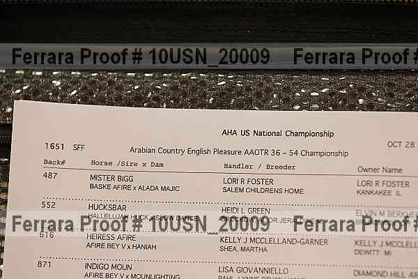 Proof Number 10usn_20009