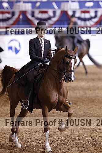 Proof Number 10usn_20031