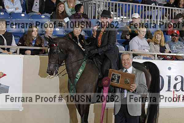 Proof Number 10usn_20062