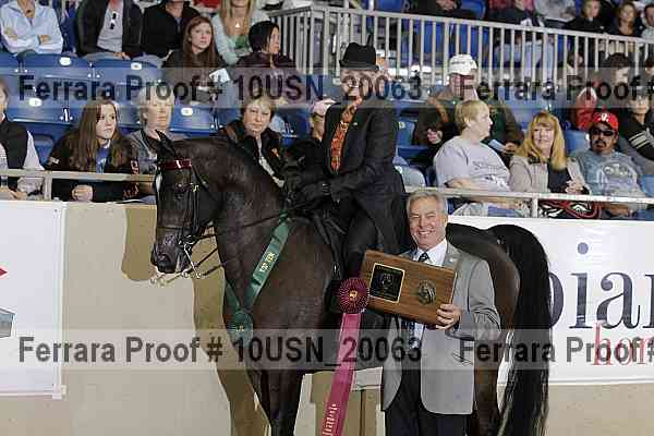 Proof Number 10usn_20063