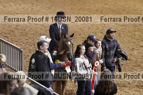 Proof Number 10usn_20081