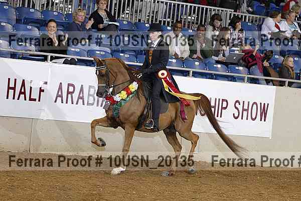 Proof Number 10usn_20135