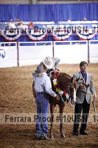 Proof Number 10usn_13515