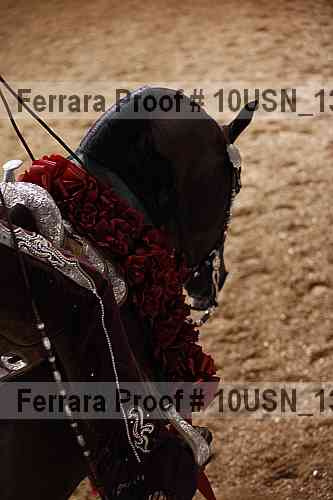 Proof Number 10usn_13641
