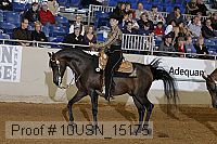 10usn_15175 thumbnail