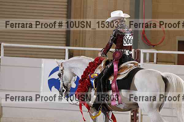 Proof Number 10usn_15303