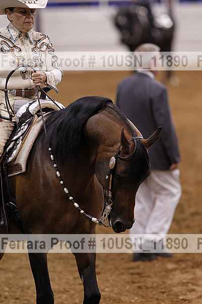 Proof Number 10usn_11890