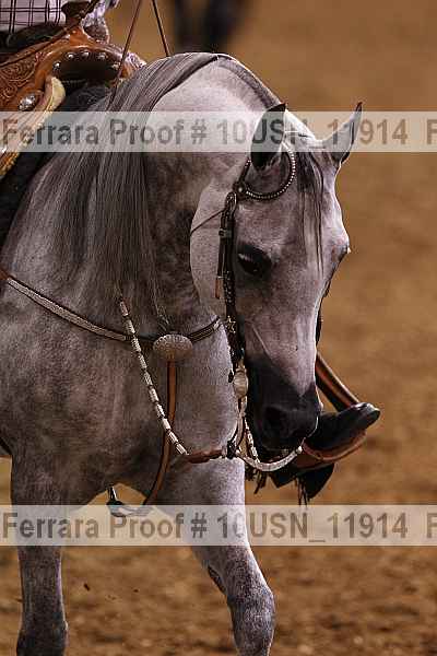 Proof Number 10usn_11914