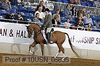 10usn_05835 thumbnail