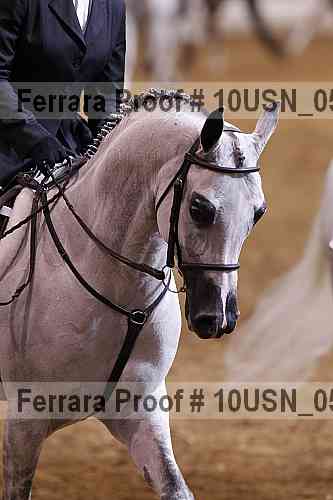Proof Number 10usn_05891