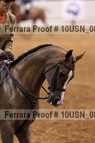 Proof Number 10usn_08835