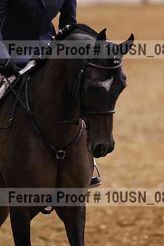 Proof Number 10usn_08919