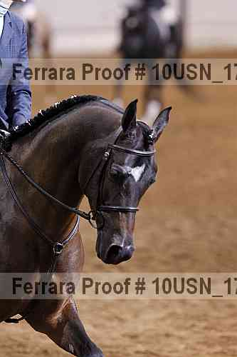 Proof Number 10usn_17622